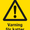 Varningsskylt med symbol för varning för fara och texten "Varning för katter".
