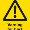 Varningsskylt med symbol för varning för fara och texten "Varning för häst".