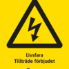Varningsskylt med symbol för varning för farlig elektrisk spänning och texten "Livsfara Före beröring Urladda - Jorda - Kortslut" samt på engelska "Danger! Before touching Discharge - Earth - Short circuit".